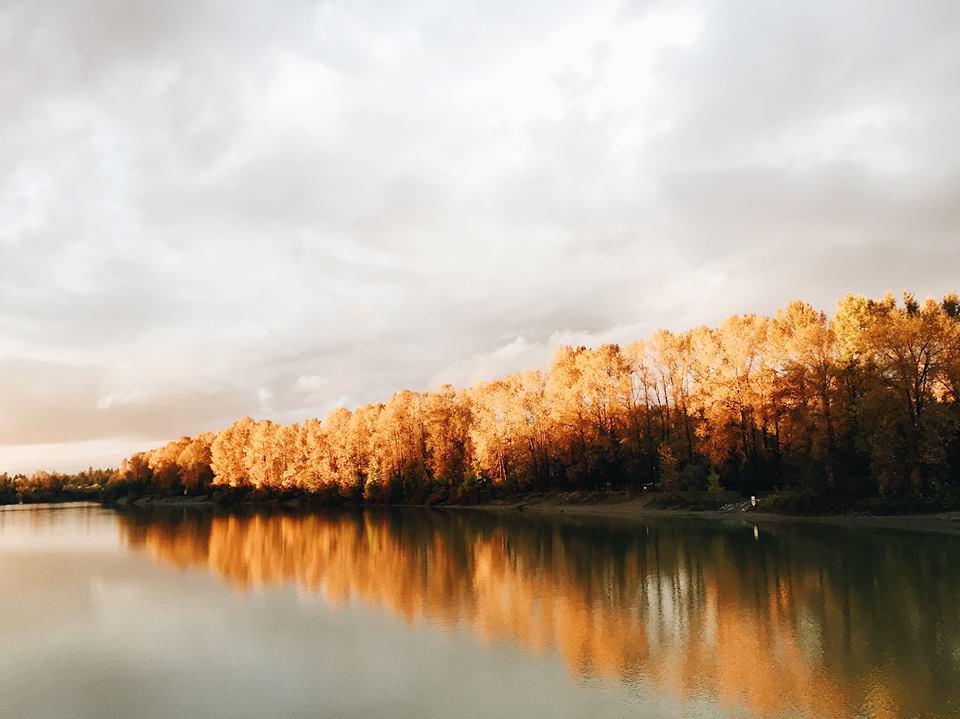 Landscape picture in the fall. The sky is bright but cloudy. The trees are all golden, lining a lake. The waters of the lake are still and reflect the treeline and sky.